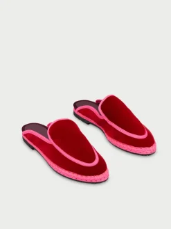 Bruna Rosso|Flabelus New
