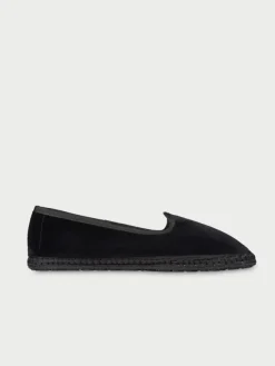 Daisy|Flabelus Clearance