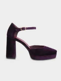 Flamenco Aubergine|Flabelus