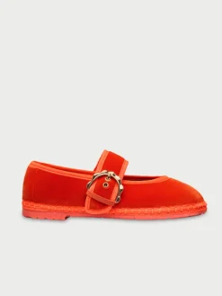 Lady Sophie Orange|Flabelus Clearance