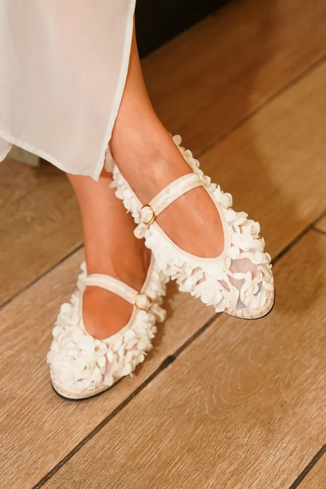 Pierre Lotus White|Flabelus Hot