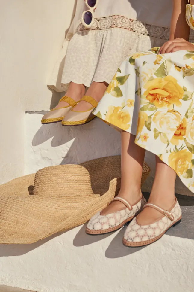 Pierre Sun Flower|Flabelus Discount
