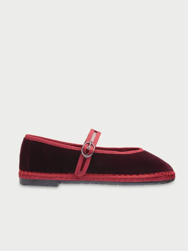 Pierre Wine|Flabelus Online