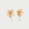 Ume Gold|Flabelus Clearance